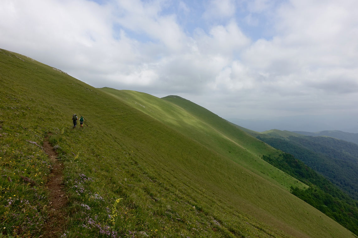 27 hikers traversing a hillside cow path in tavush armenia meagan neal transcaucasian trail association