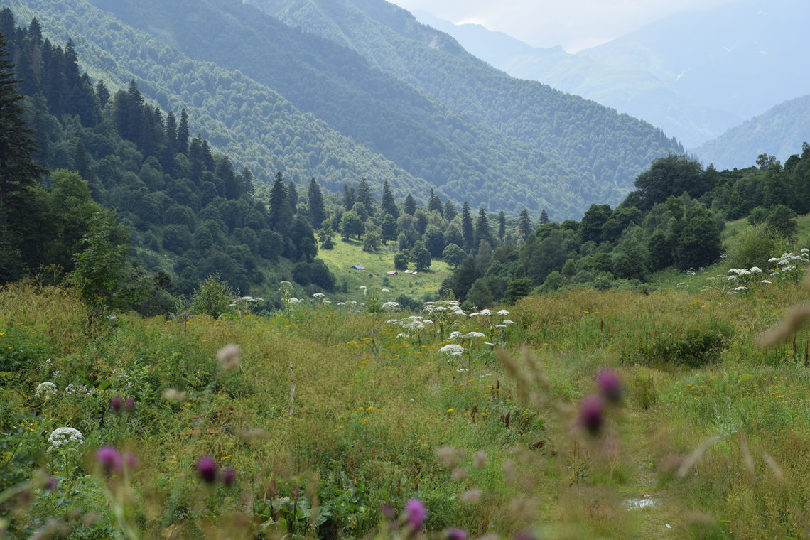 06 wildflowers and shepherd huts zeskho georgia ia iakobashvili transcaucasian trail georgia